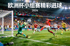 欧洲杯小组赛精彩进球瞬间